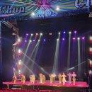 동춘스테이 | 100년 역사 동춘서커스, 5살 아이와 보기 딱 좋았던 관람 후기