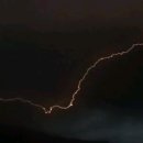 KS국제 행정사사무소 이미지