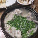 새반도정 이미지