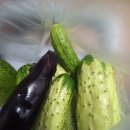 풍년농약마트 이미지