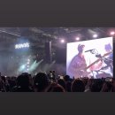 내가초교 | 너는 캐틀뮤틸레이션을 보았는가