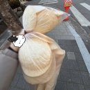 이브몰 | 2026년 첫 blog.me (~1/15)