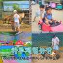 우리소농장 | 대구근교 아이랑 체험 칠곡 하루체험농장 시간무제한 외부음식반입가능!