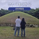 선덕여왕릉 앞 | 경주 여행 가볼만한 곳 '선덕여왕릉' 소요시간 방문 후기