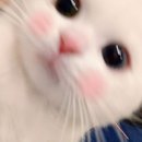 인달