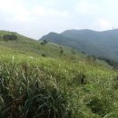 승학산(乘鶴山497m).구덕산(九德山 565m).시약산(蒔藥山391m)/부산 사상구 이미지