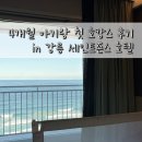 신라동물병원 | 4개월 아기랑 강릉 호캉스 여행 / 세인트 존스 호텔 / EFL 라운지 / 백일아기여행