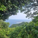 늘푸른민박 이미지