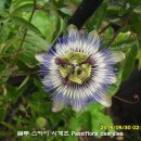 블루스카이 이미지