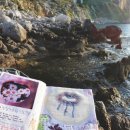 이영춘「풀잎」 네이버블로그