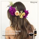 펠리아헤어 이미지