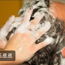 푸드르르 이미지