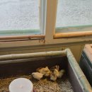 방막농장 이미지