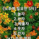 2024년 갑진년 새해 아침 두리산악회 회원님들에게 인사 올림니다 이미지