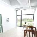 섬댕 강아지 미용실 이미지