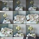 피오리스튜디오