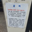 추억보물섬 티스토리