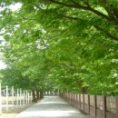 영선고등학교 이미지