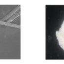 ㈜엽록소 이미지