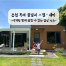 춘천 마당있는 감성 숙소 소원스테이 아이랑 함께한 독채 풀빌라 후기