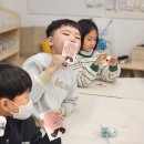 청학 숲 유치원의 모야 방문 체험 이미지
