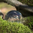 베데스다정형외과의원 이미지