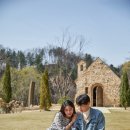 스테이 피크닉 이미지