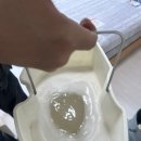 에코클린 침대소파카페트 울산본점 | 울산침대청소 매트리스 냄새제거 청소세탁전문 에코클린