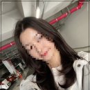 보키헤어