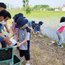 묘장초등학교 이미지
