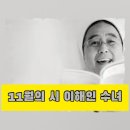 11월의 나무처럼. 이미지