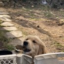 안녕 멈머야 이미지