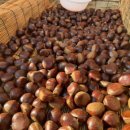 천현농장 이미지