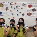 무릉초등학교 이미지