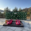 테마파크 | 청도 루지 군파크 루지 테마파크 내돈내산 후기