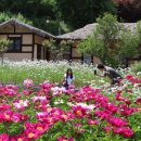 로드메디칼 이미지