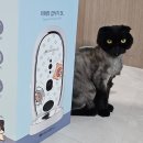 3공단3로3L-22 | 고양이 자동급식기 추천｜코코시루 3L 용량 카메라 펫캠 실사용 후기