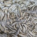 자연수산 식당 이미지