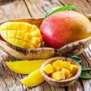 애플망고 이미지