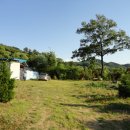 용문농장 이미지