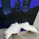 홍대 달빛천사 팝업스토어 후기 🌙 한정 굿즈·대기시간·포토존까지 총정리