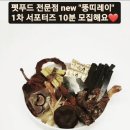 뚱띠레이 이미지