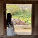 숲속 짱구네 | 3월 국내여행지 추천 봄 꽃구경 가볼만한곳 데이트명소