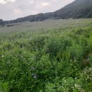 본1리마을회관 이미지