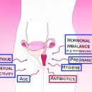 자윤수한의원 이미지