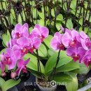 부자관광㈜ 이미지