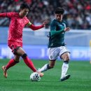 홍명보 카카오 검색결과