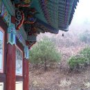 수태사 - 경상북도 군위군 | 수태사