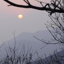 서라벌주