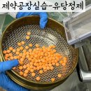 유당5호
